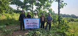 گزارش تصویری بازدید علمی دانشجویان مقطع کارشناسی رشته جنگلداری تلفیقی از نهالستان شرکت صنایع چوب و کاغذ مازندران  