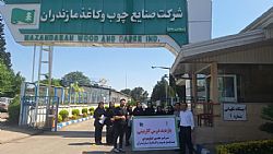 گزارش تصویری بازدید درس کاربینی دانشجویان مقطع کارشناسی مدیریت کسب و کار از امور اداری شرکت صنایع چوب و کاغذ مازندران 