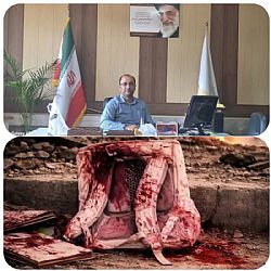 پیام تسلیت رئیس مرکز علمی کاربردی صنایع چوب و کاغذ مازندران در پی شهادت مظلومانه دانش آموزان دبستان شجره طیبه میناب  